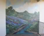 House Back Patio Wall, Hill Country Mural